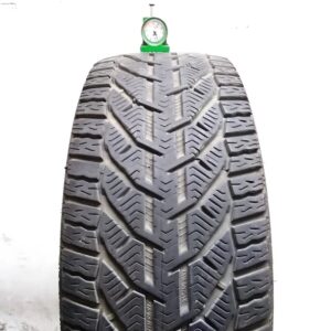 1745B1 Riken 21545 R17 91V Snow pneumatici usati Invernale 1