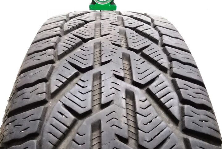 3413B Riken 20555 R17 95V Snow pneumatici usati Invernale