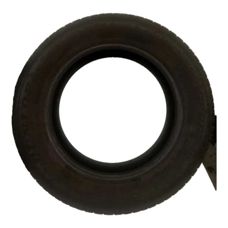 Dunlop Winter Sport 5 205/60 R16 92H usato