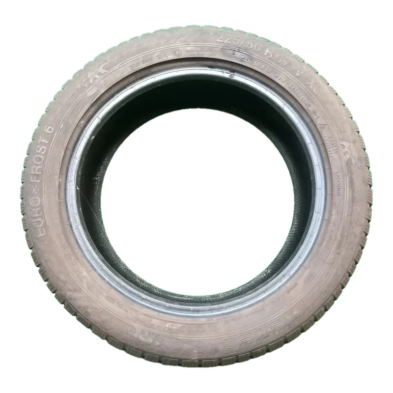 Gislaved Euro Frost 6 225/50 R17 98V usato