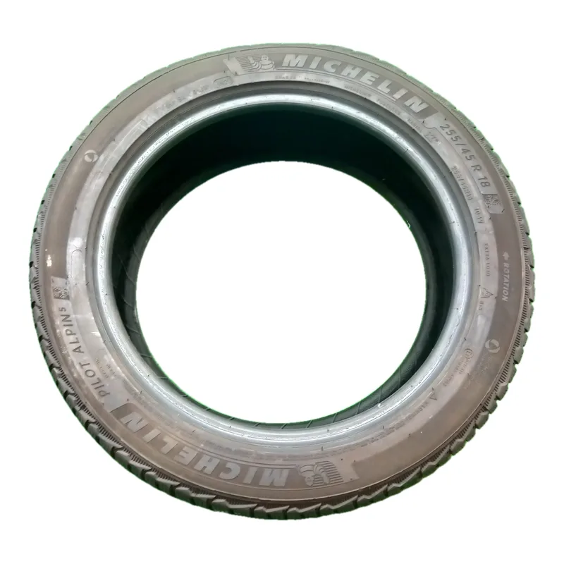 Michelin Pilot Alpin 5 255/45 R18 103V usato