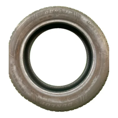 Dunlop WINTER Ev 195/55 R16 91H usato