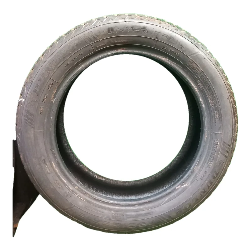 Dunlop Winter Trail 195/55 R16 87H usato