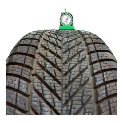 Dunlop Winter EV 225/40 R19 93W usato