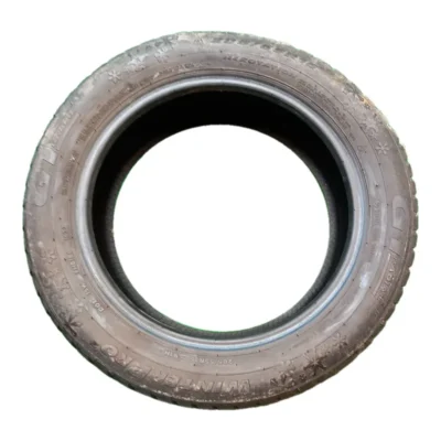 GT Radial WinterPro 205/55 R16 91H usato