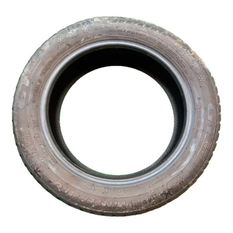 GT Radial WinterPro 205/55 R16 91H usato