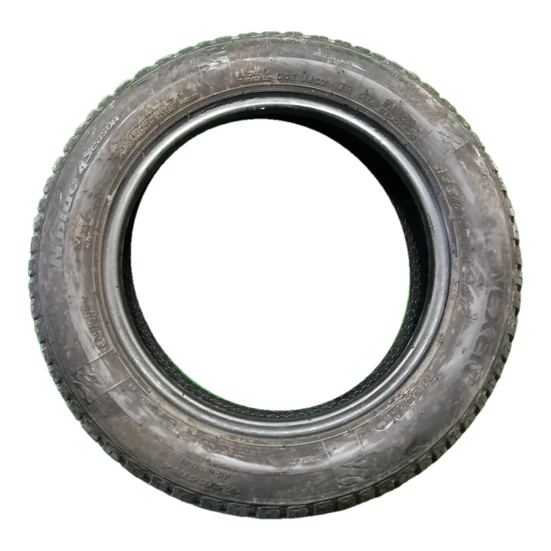 Nexen N'Blue 4Season 165/65 R14 79T usato