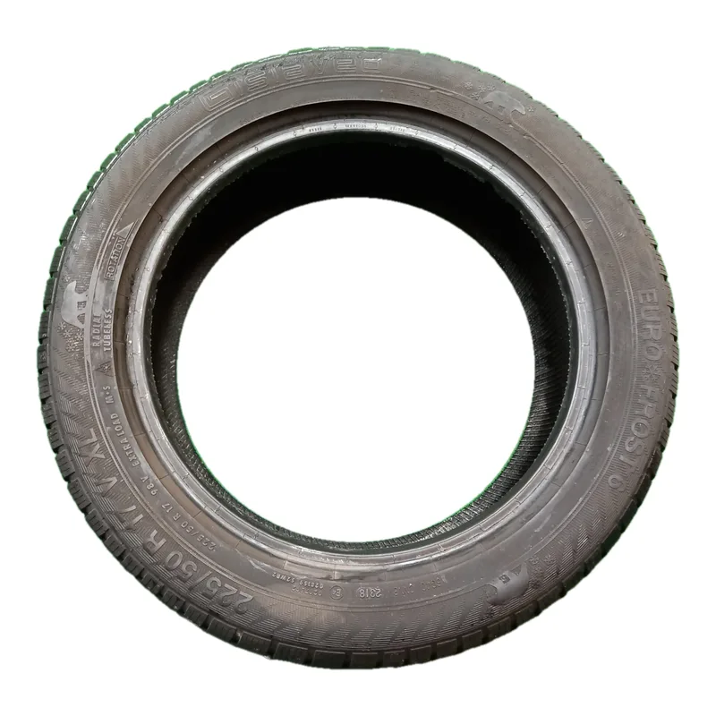 Gislaved Euro Frost 6 225/50 R17 98V invernale usato