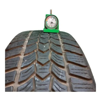 Dunlop Winter Trail 195/55 R16 87H usato