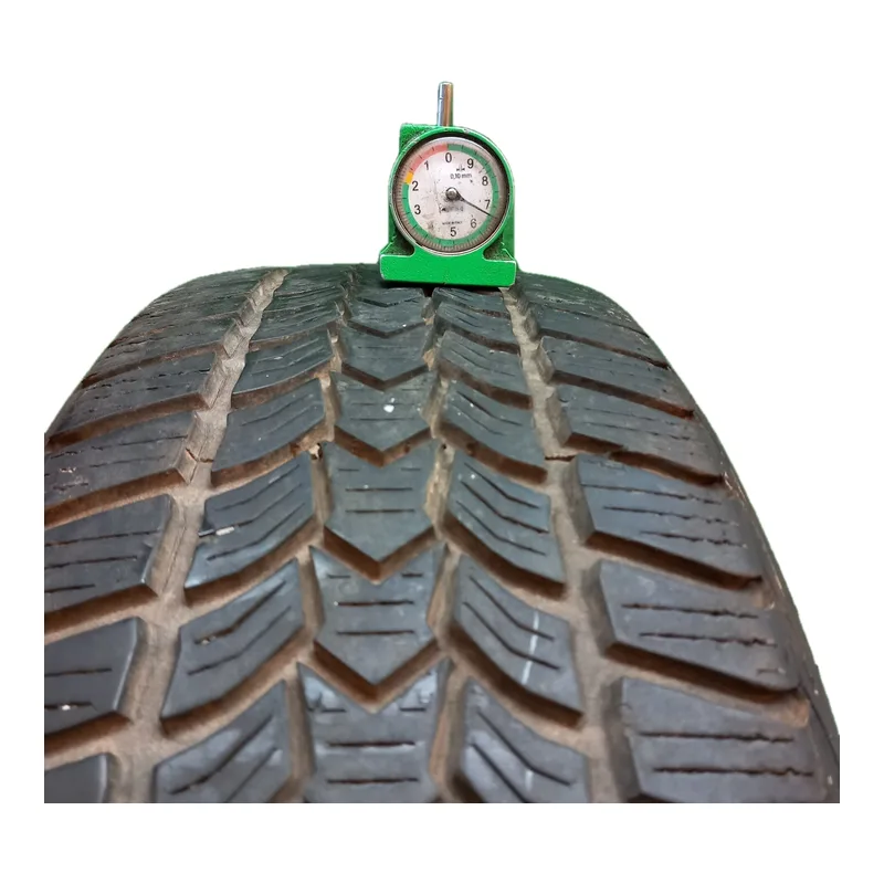 Dunlop Winter Trail 195/55 R16 87H usato